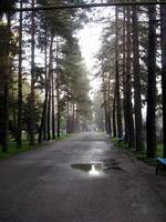 Случайная фотография Горячего Ключа Случайная фотография Горячего Ключа